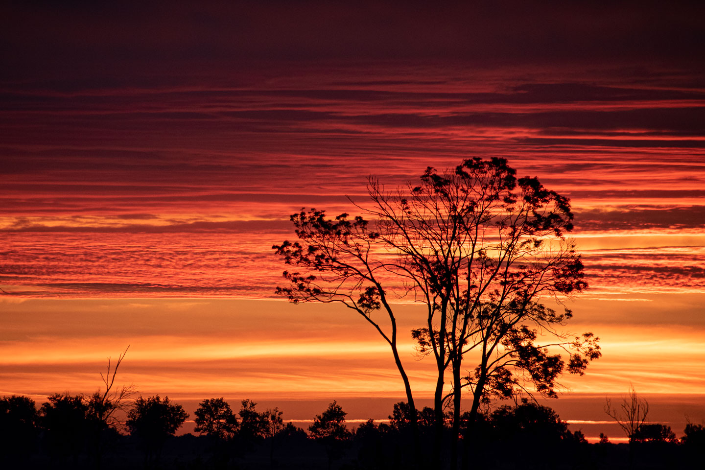 Dawn Somewhere On The Road